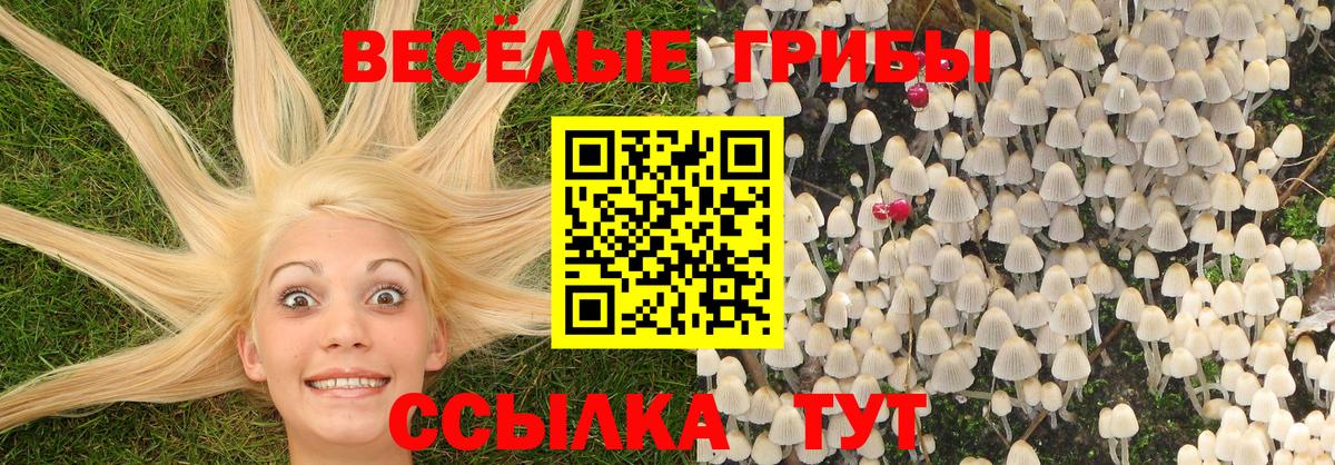 Бошки Шишки  Метамфетамин  ГАШИШ  Вход с VPN  МЕФ кристаллы  Тавда  МЕФ 