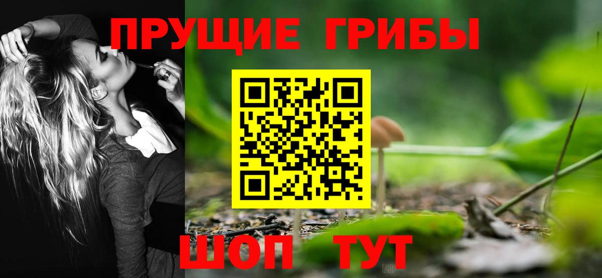 Галлюциногенные грибы ЛСД Тавда